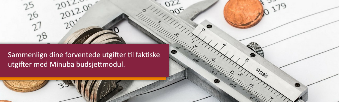 Budsjettmodulen_wp_010318.txt Brug dit budgetmodul i Minuba